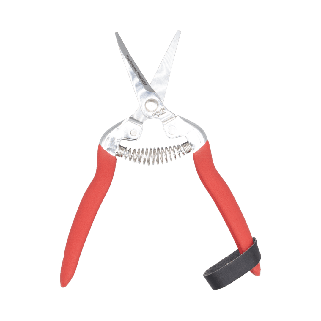 Red-handled pruning shears with finger loop.