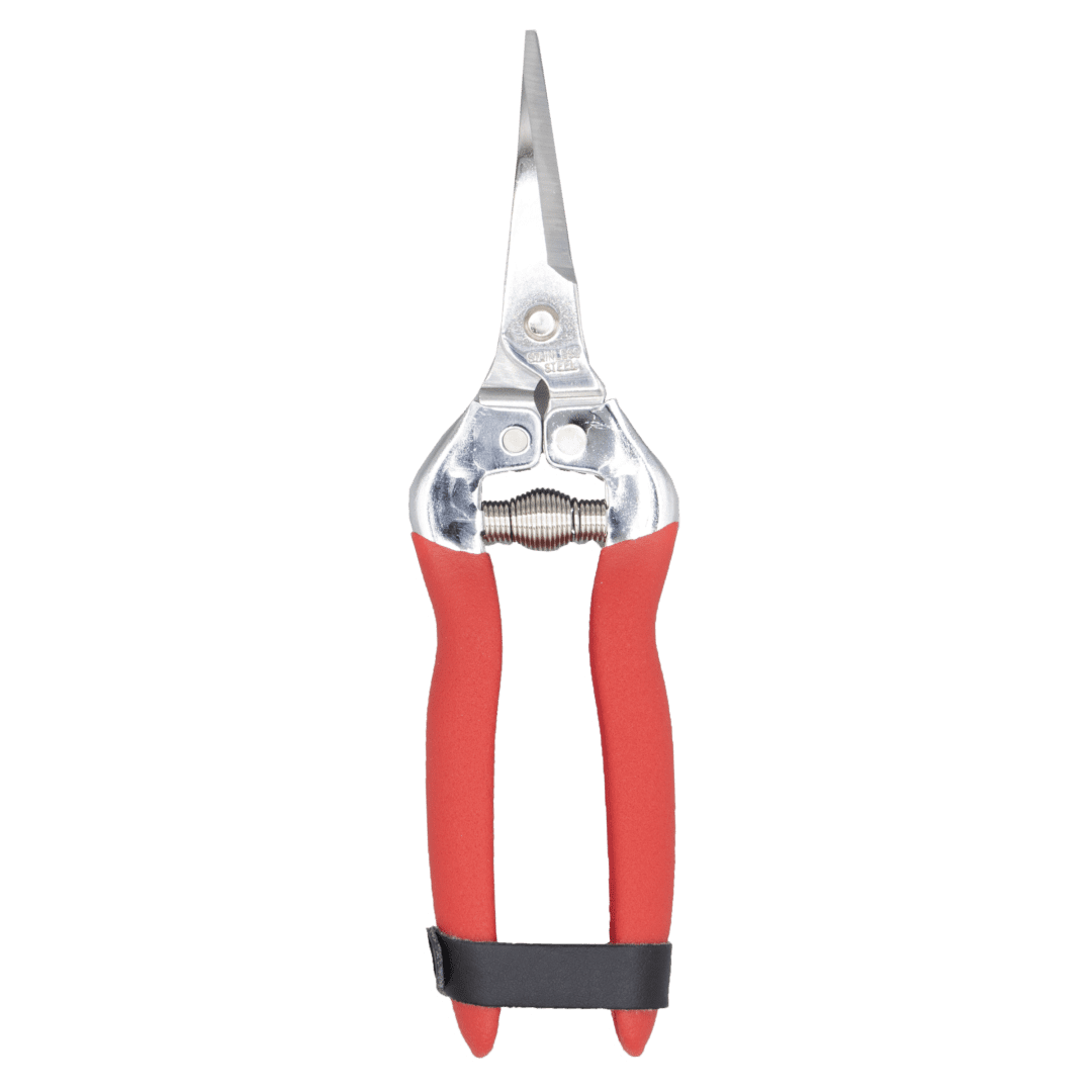 Red-handled pruning shears for gardening.