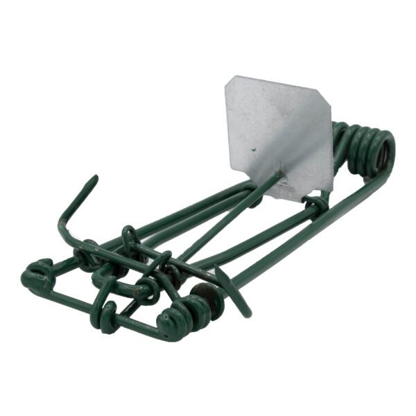 Green metal animal trap with spring.