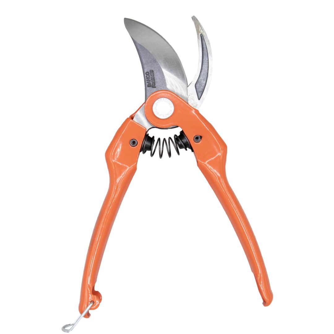 Orange pruning shears on a white background.