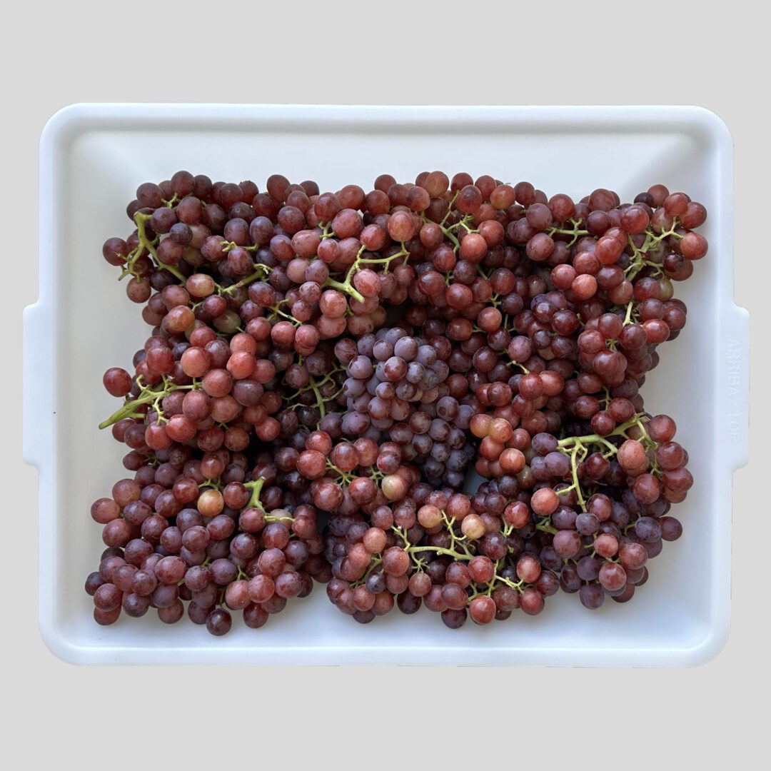 Red grapes in a white container.