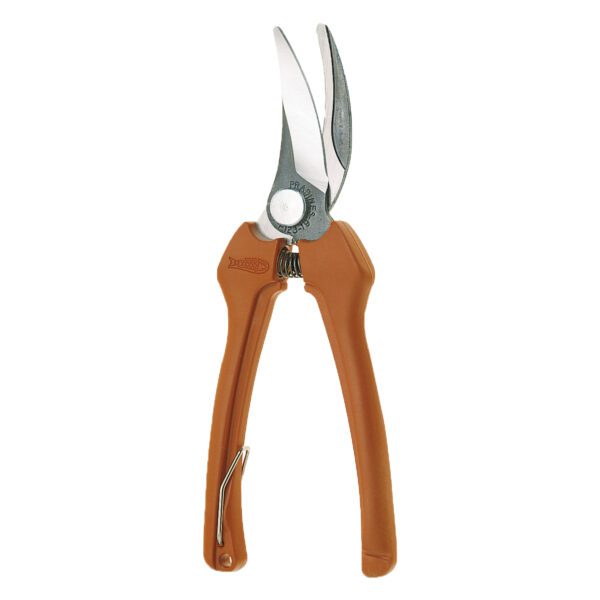 A pair of garden shears on a white background.