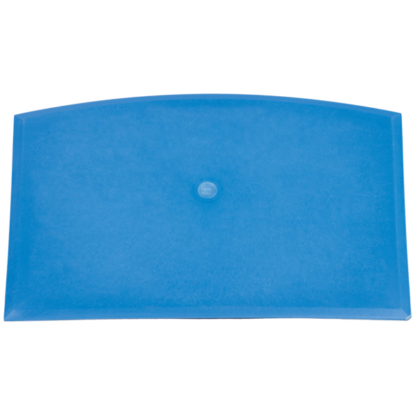 Blue plastic envelope with button closure.