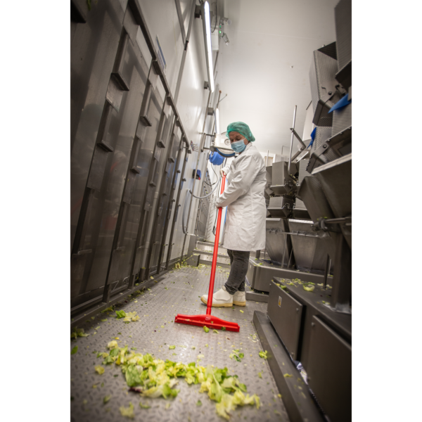 Worker sweeping lettuce scraps in factory.