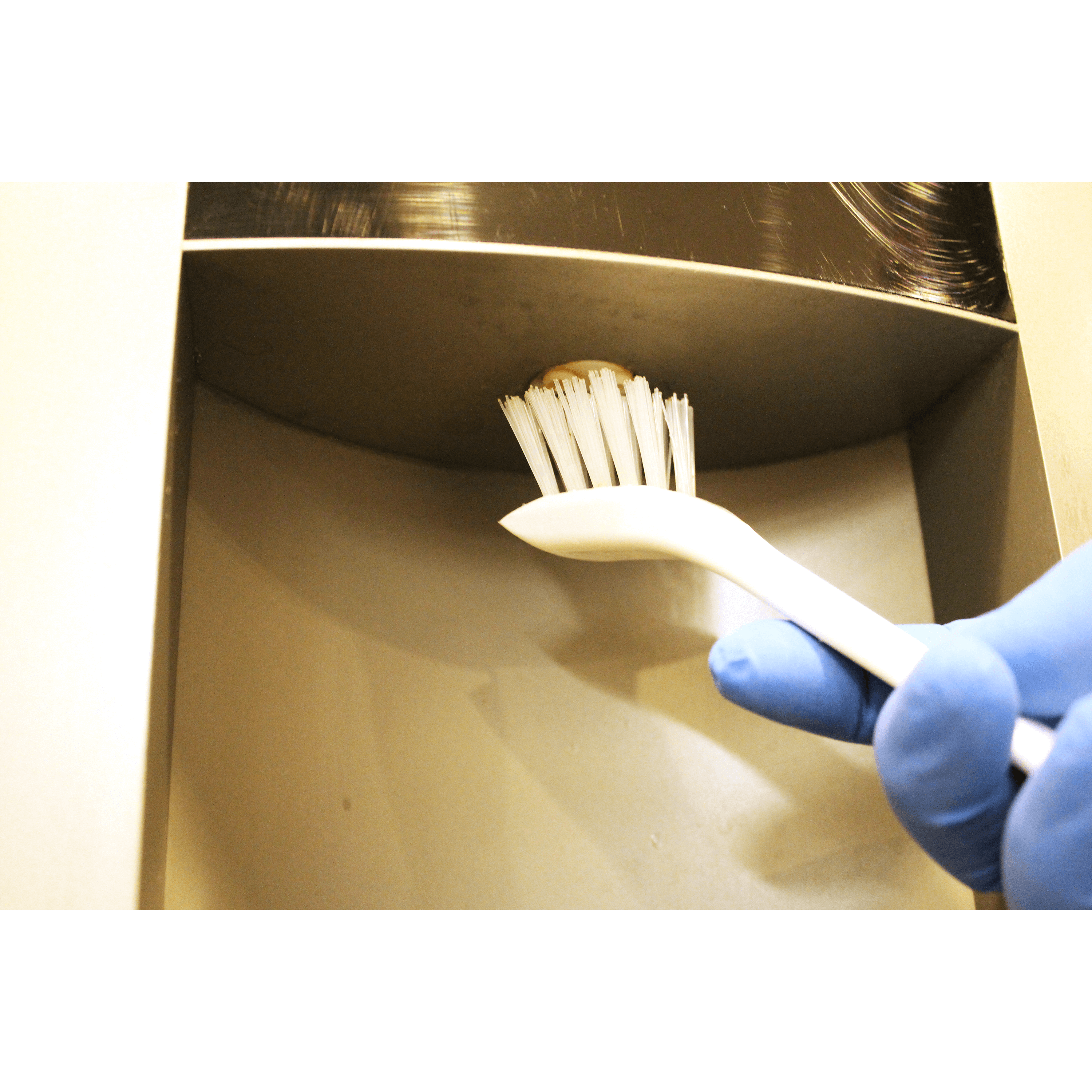 39515-3 Cleaning with a toothbrush and gloved hand.