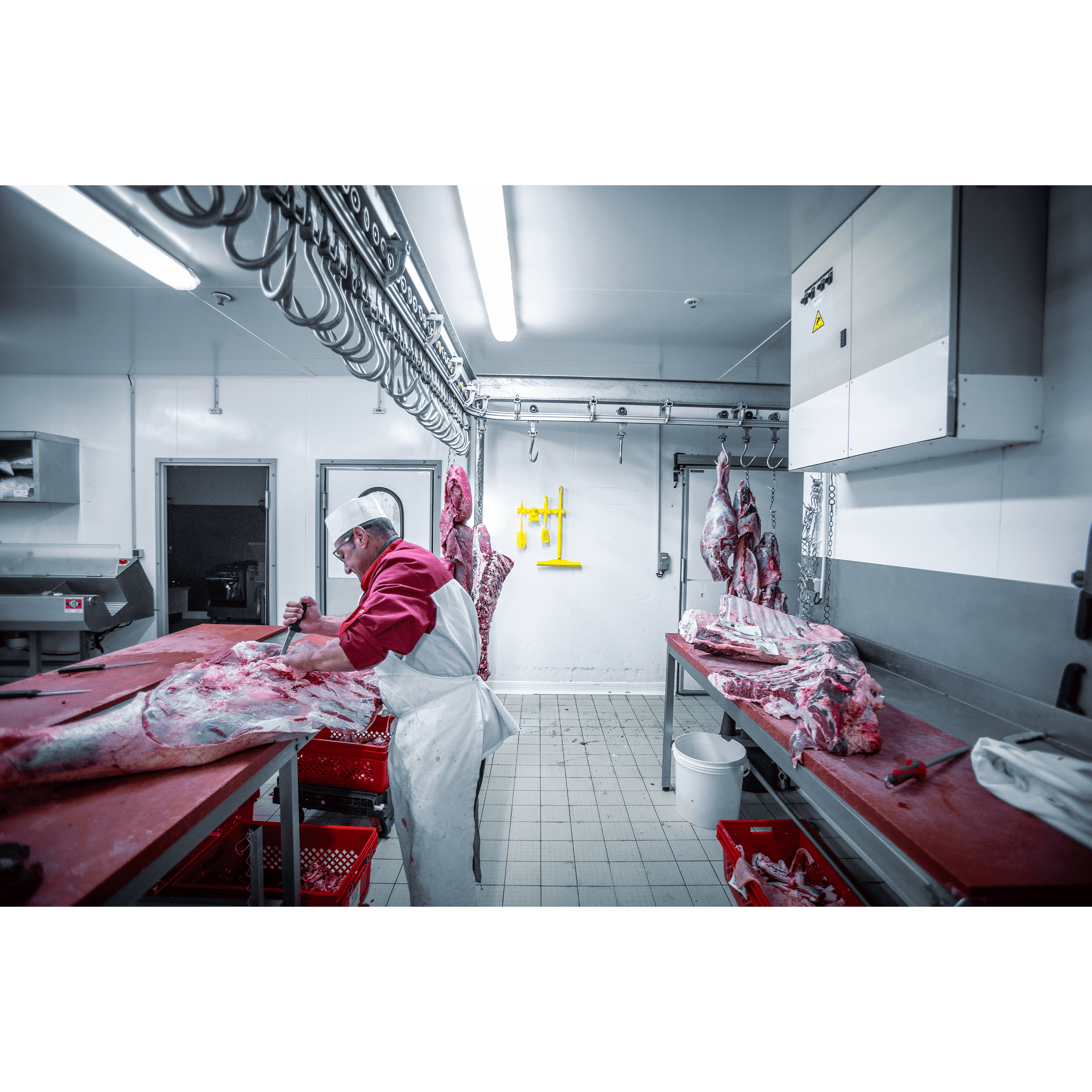 Butcher working in a meat processing facility.